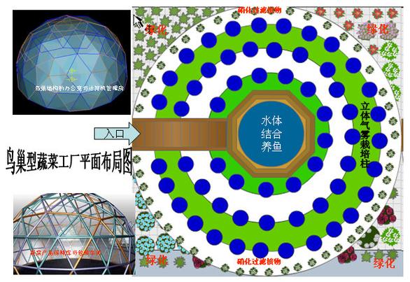 鸟巢型蔬菜工厂 中国农业硅谷的绿色革命